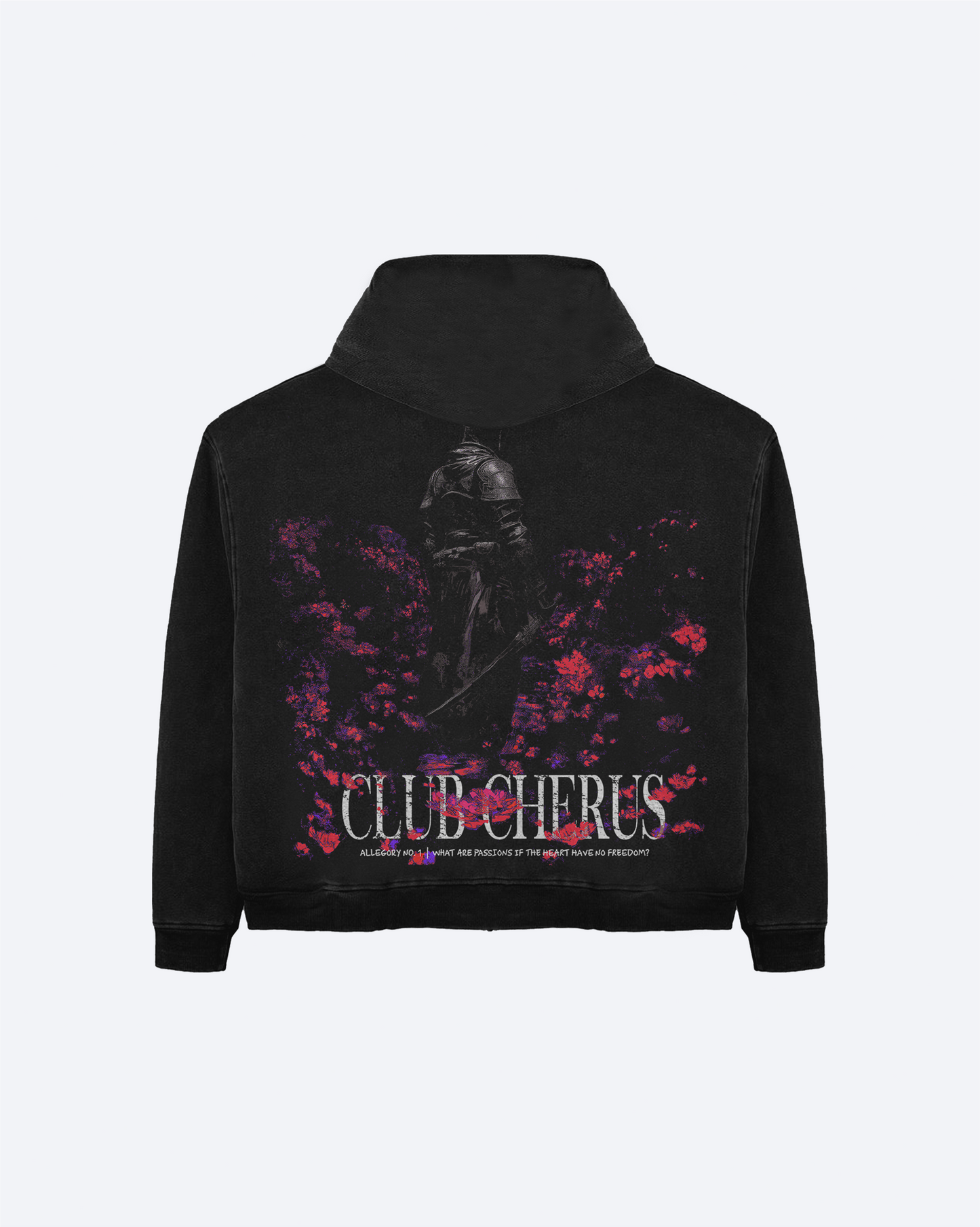 GARDEN WARRIOR HOODIE - WASHED BLACK