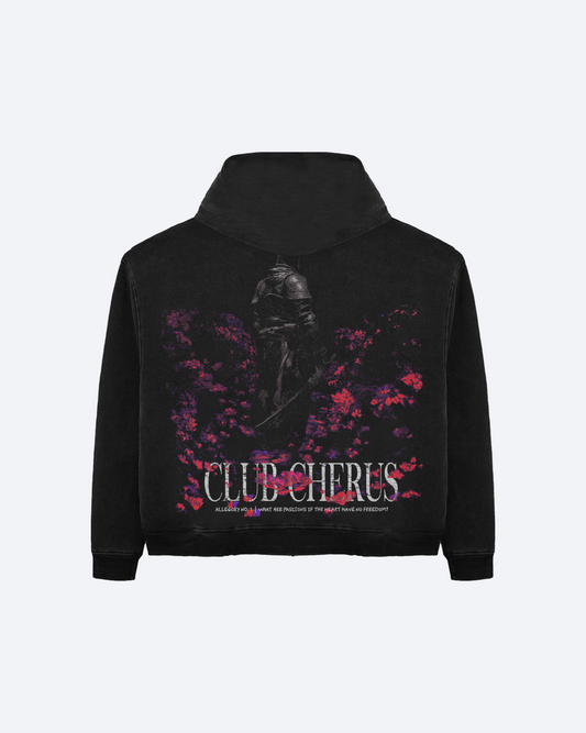 GARDEN WARRIOR HOODIE - WASHED BLACK